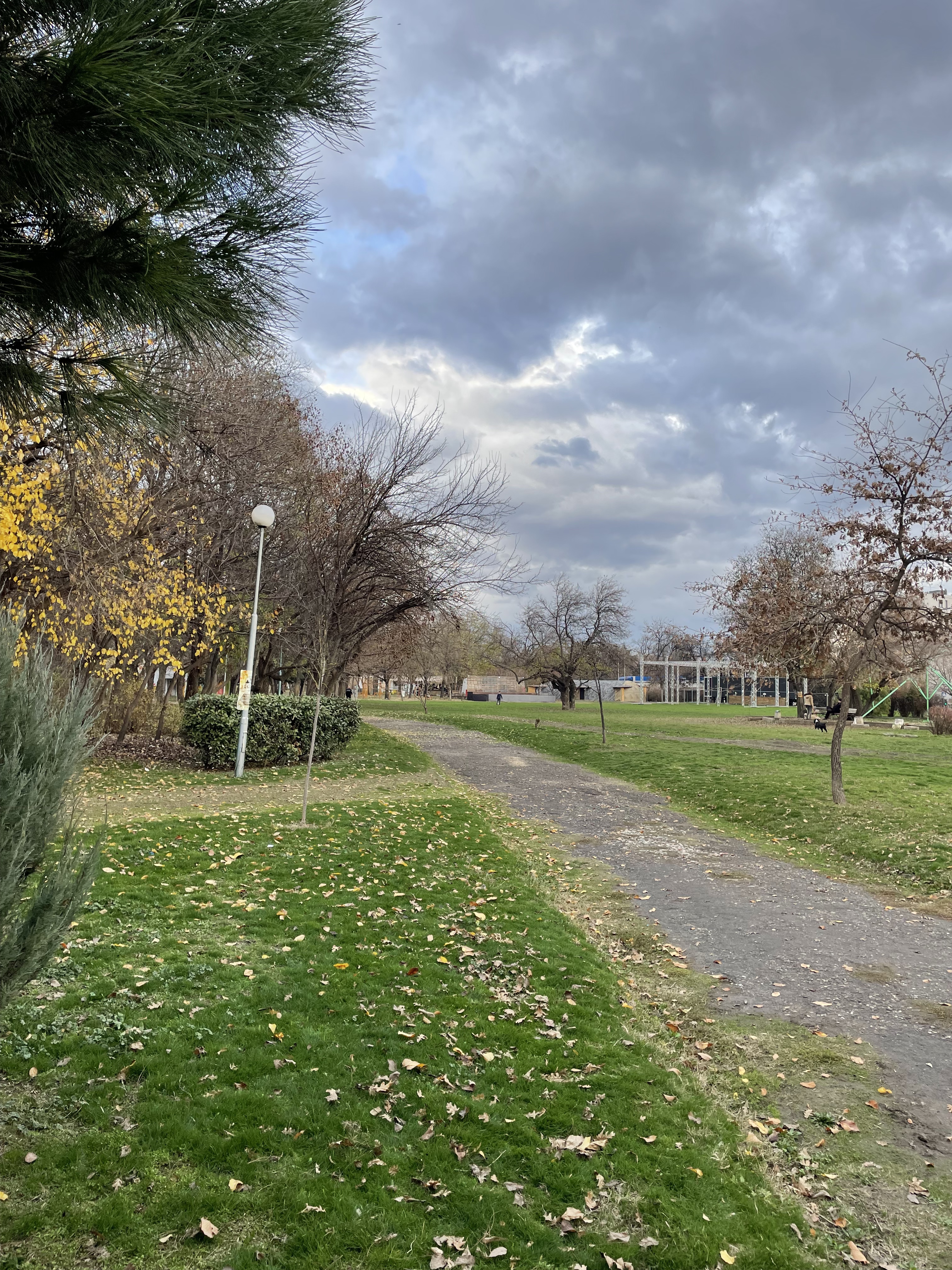 Youth Hill photo